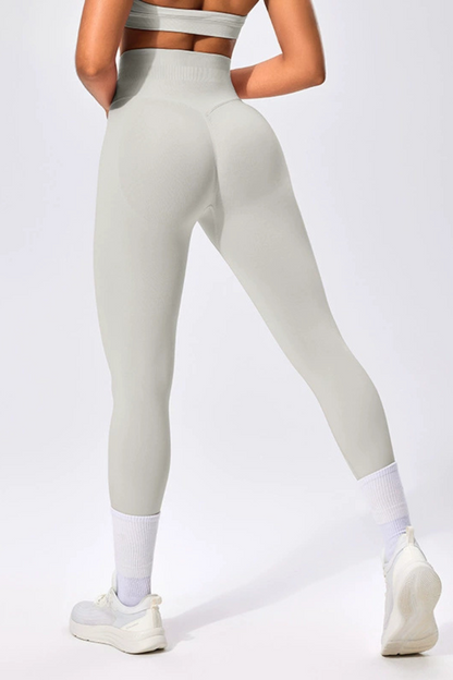 Seamless Leggings